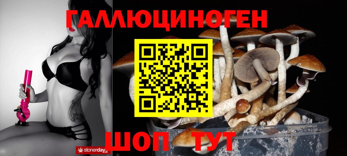 Галлюциногенные грибы Cubensis  Вход с VPN  где найти   Аргун 